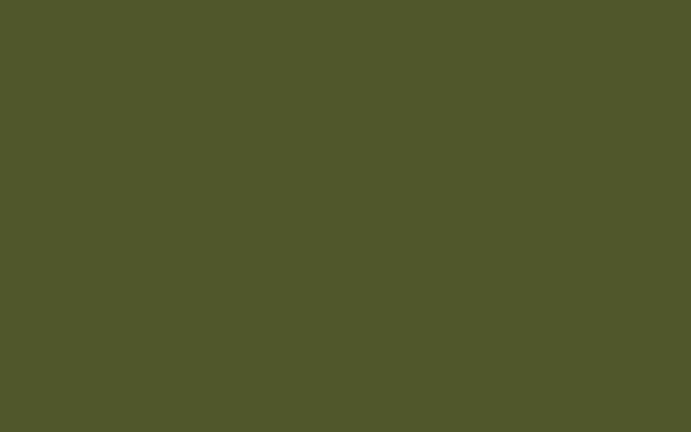 Little Greene Jewel Beetle 303 1